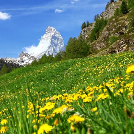 Apartment Sungold-1 By Interhome Zermatt